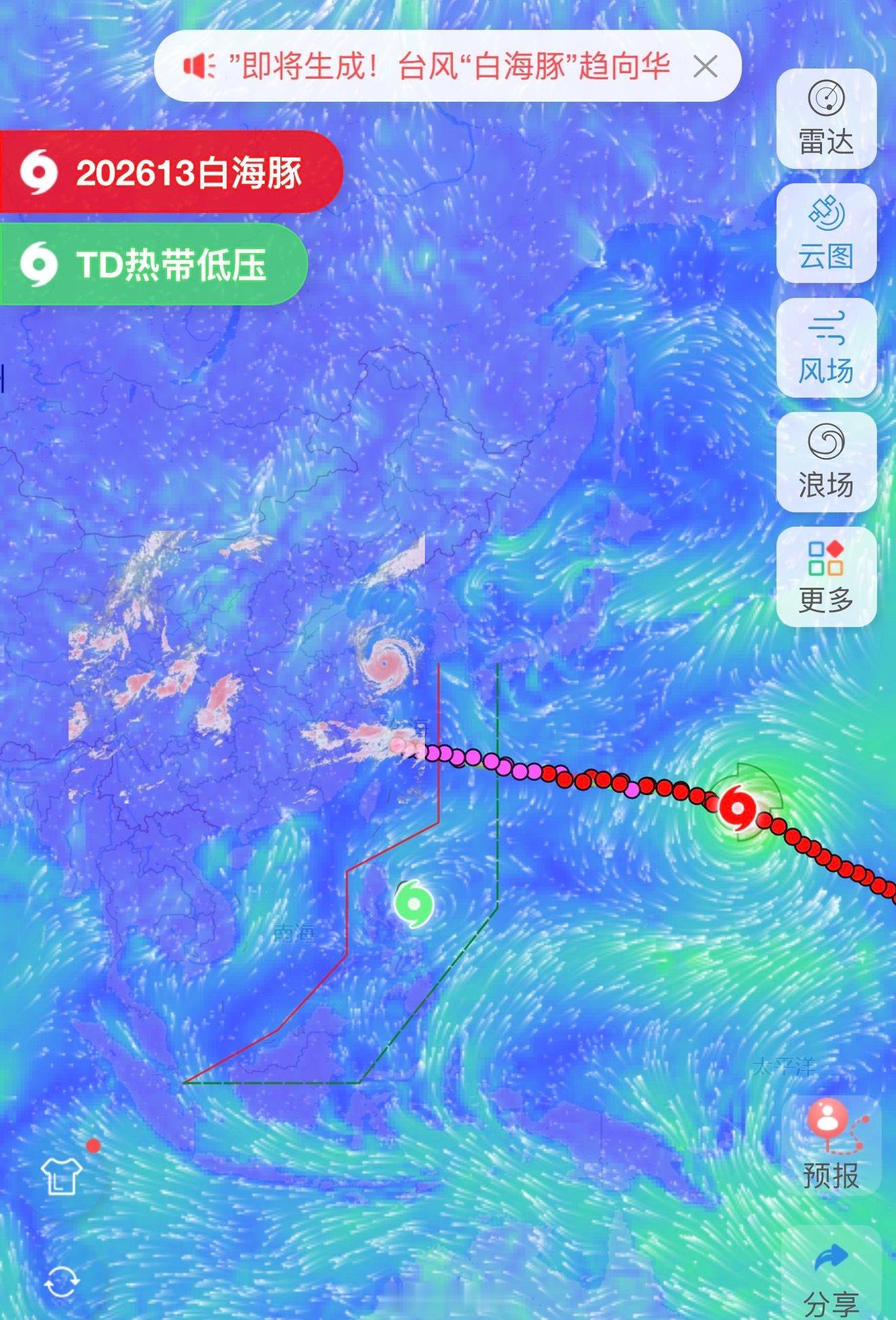 台风白海豚可能吃掉台风鲸鱼海豚吃鲸鱼，真是新鲜的词汇不过大家不用担心，很多人以为