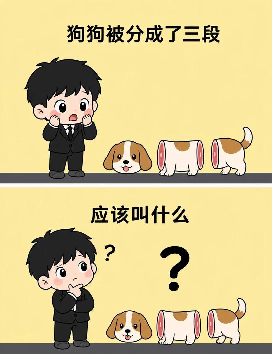 Gogogo出发咯
准备好了就出发  梗图  开心  解压 医生进化岛