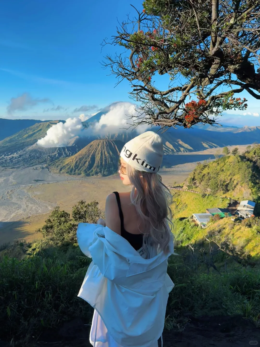 🌋𝑩𝒓𝒐𝒎𝒐这一刻我站在《孤独星球》封面