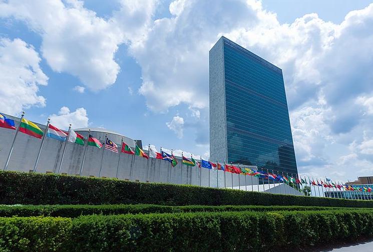 联合国昨天直接扔了个大瓜，联大主席贝尔伯克、安理会轮值主席国塞拉利昂，俩管事的一