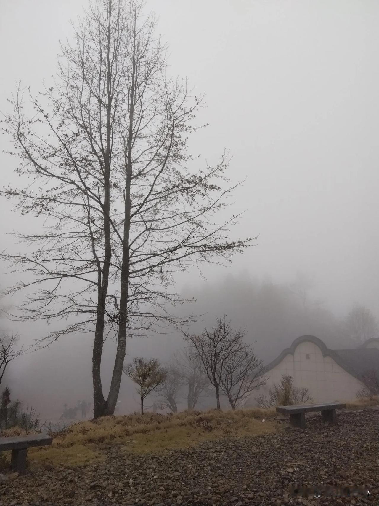 随手拍的一张风景