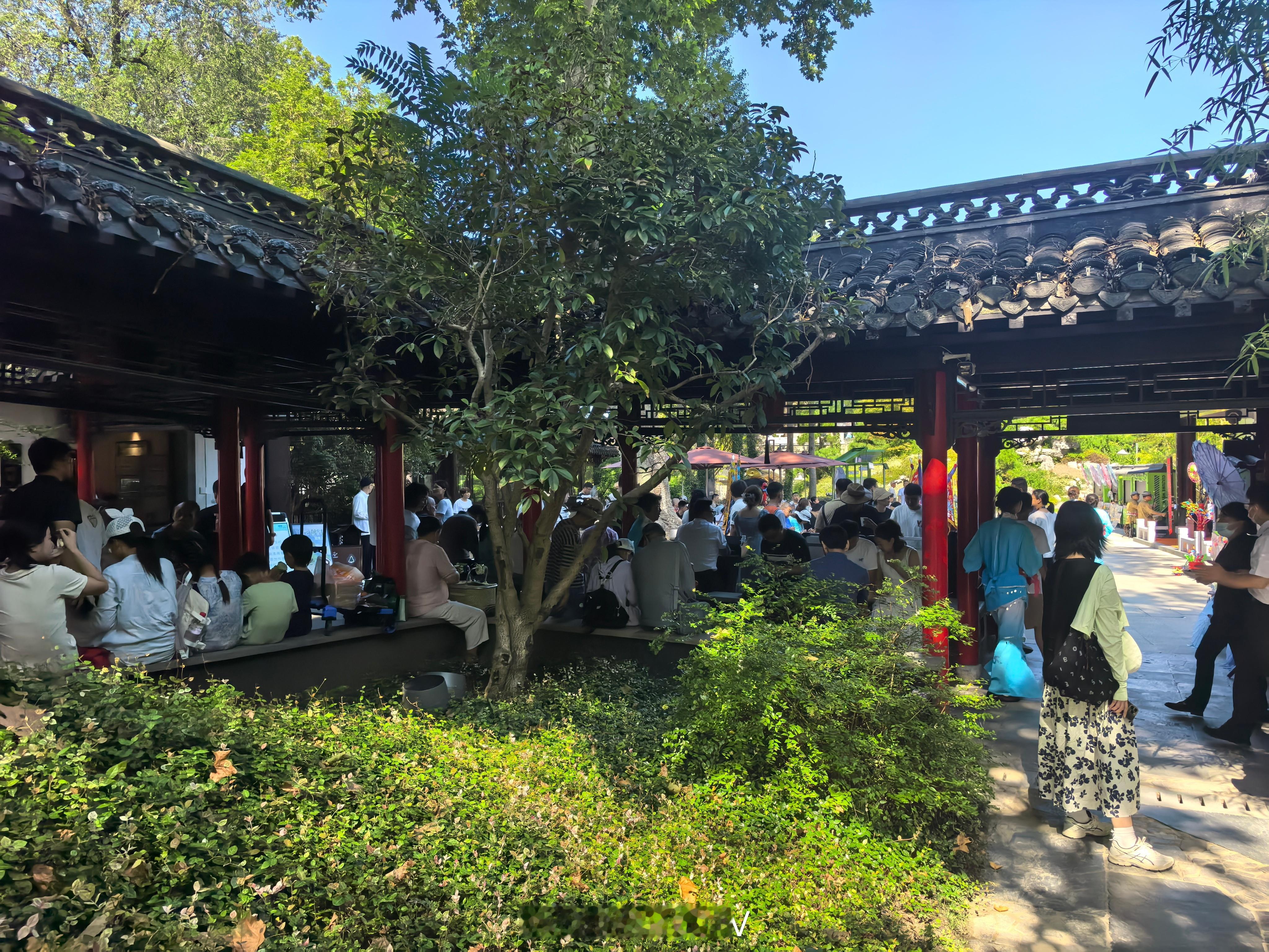 扬州怎么这么火呢，吃个早点就排一百多桌，尝了特色蟹黄汤包，五丁大包，扬州狮子头和