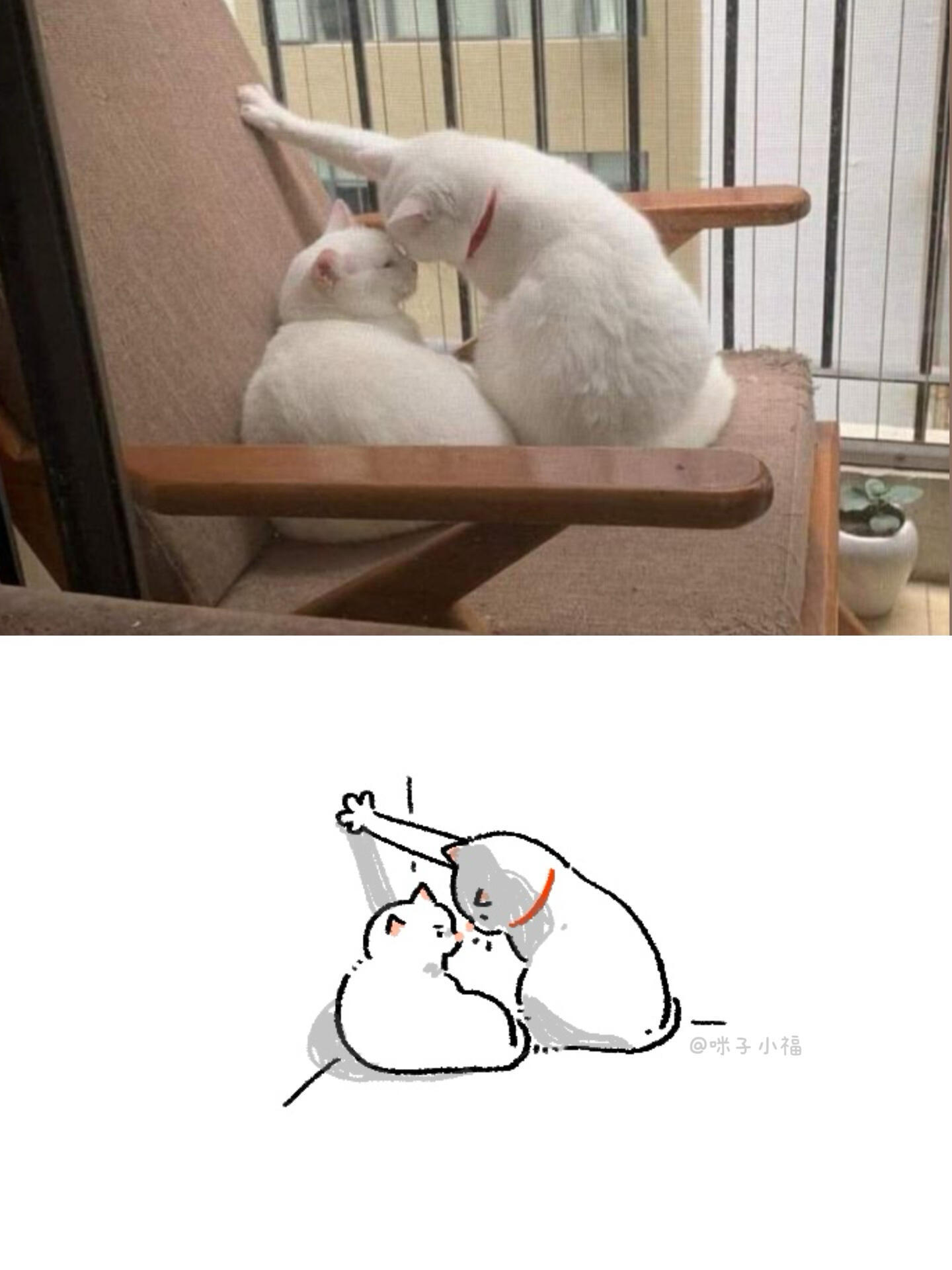 你听哥说…||哈哈哈哈哈哈哈哈哈哈小样这还迷不死你？😎 ​​​