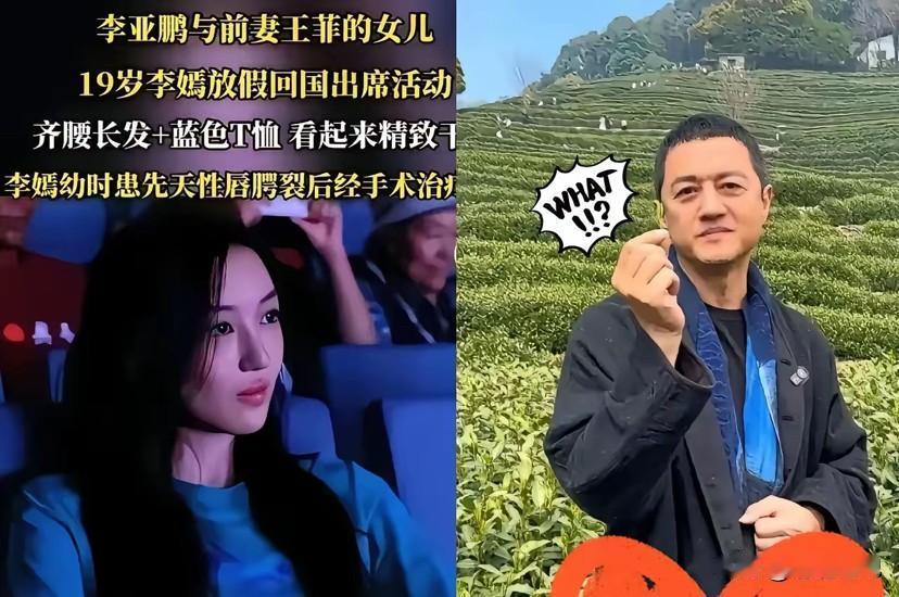 李嫣为父亲李亚鹏发声：我欠他的，不是他欠我的

李亚鹏或许是经商失败者，却是顶级