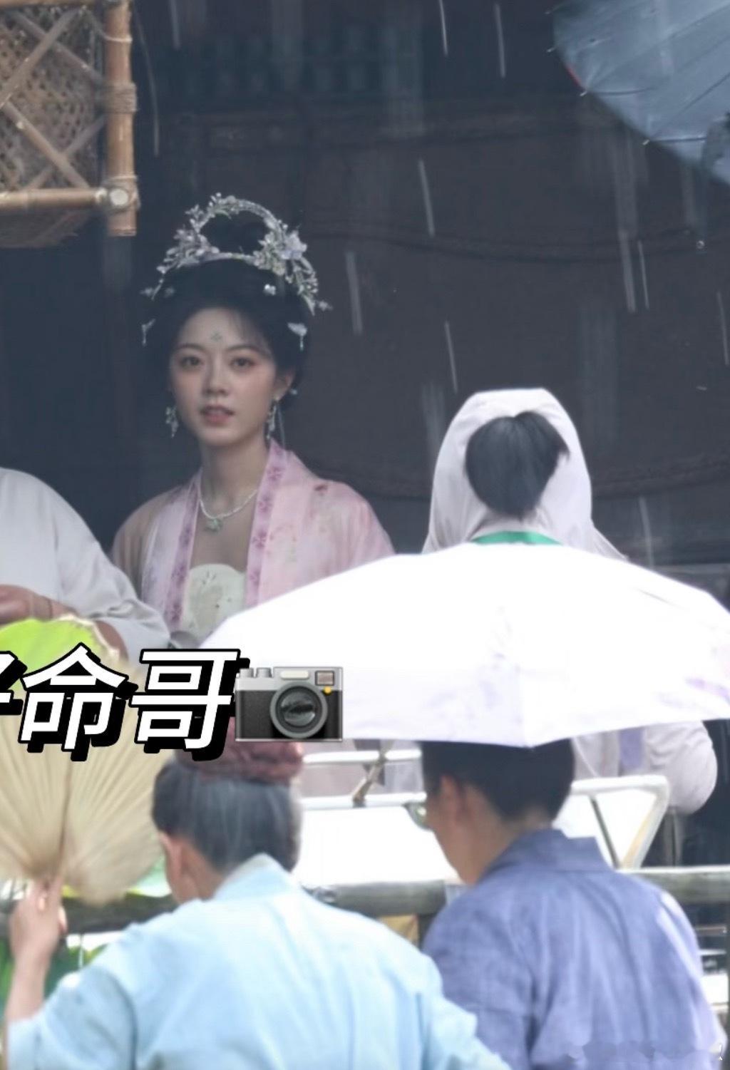 麦麦真瘦了很多，肉眼可见的事业心 