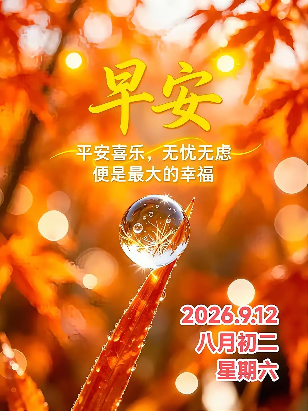 9.12日🌹🍎早上好♥️🌹
温馨的早晨，愿我们一切都好，越来越好！[大笑]