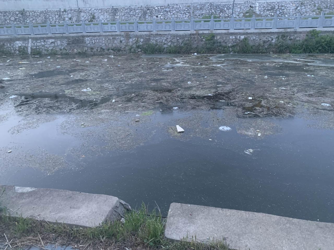 赶紧把卫河里的东西带走吧，不然的话就变了，夏季来了，不收拾不行啊。