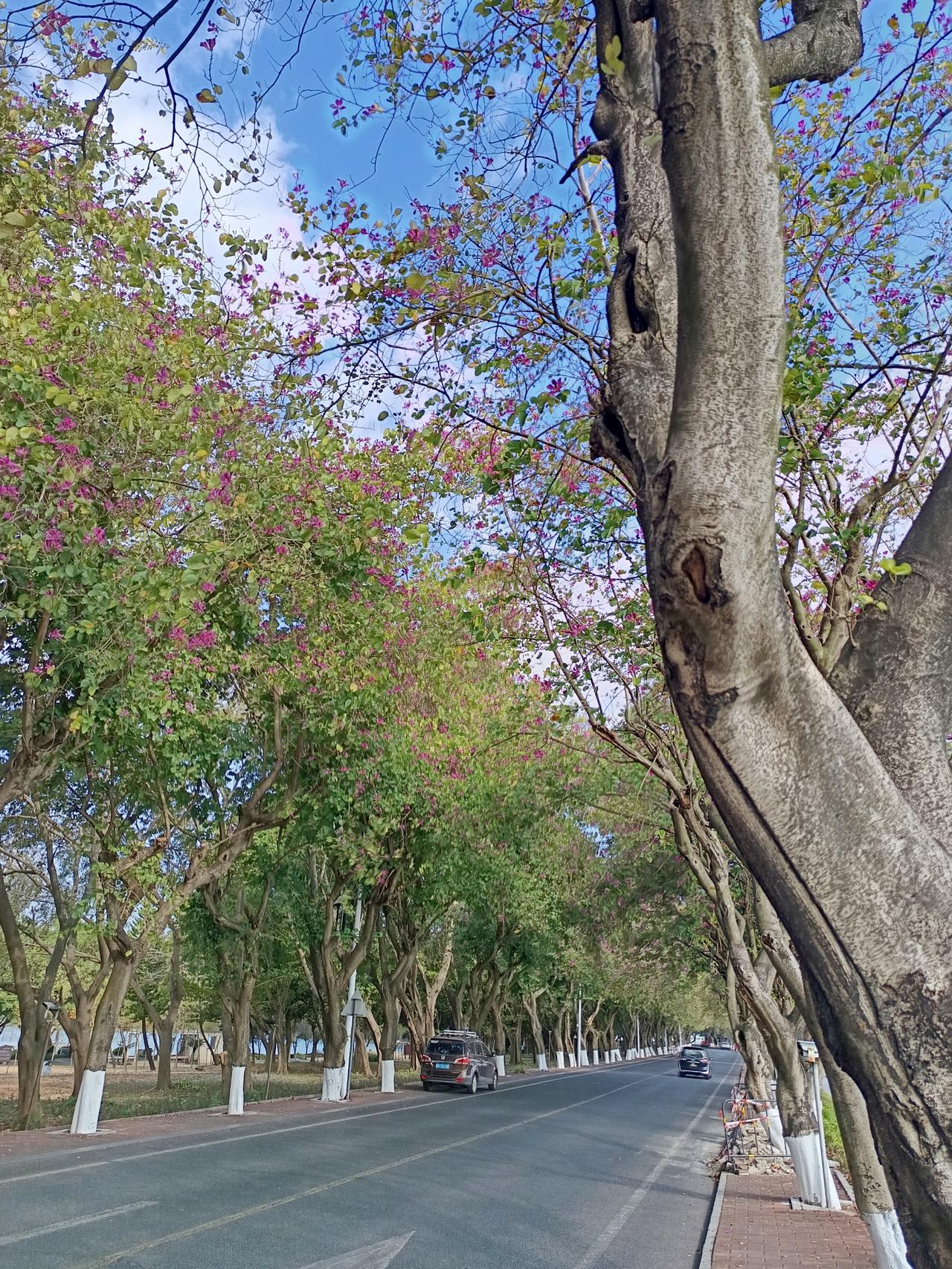 我终于知道
为什么说人一定要努力奋斗
却依然得不到他想得到的东西


家人们谁懂
