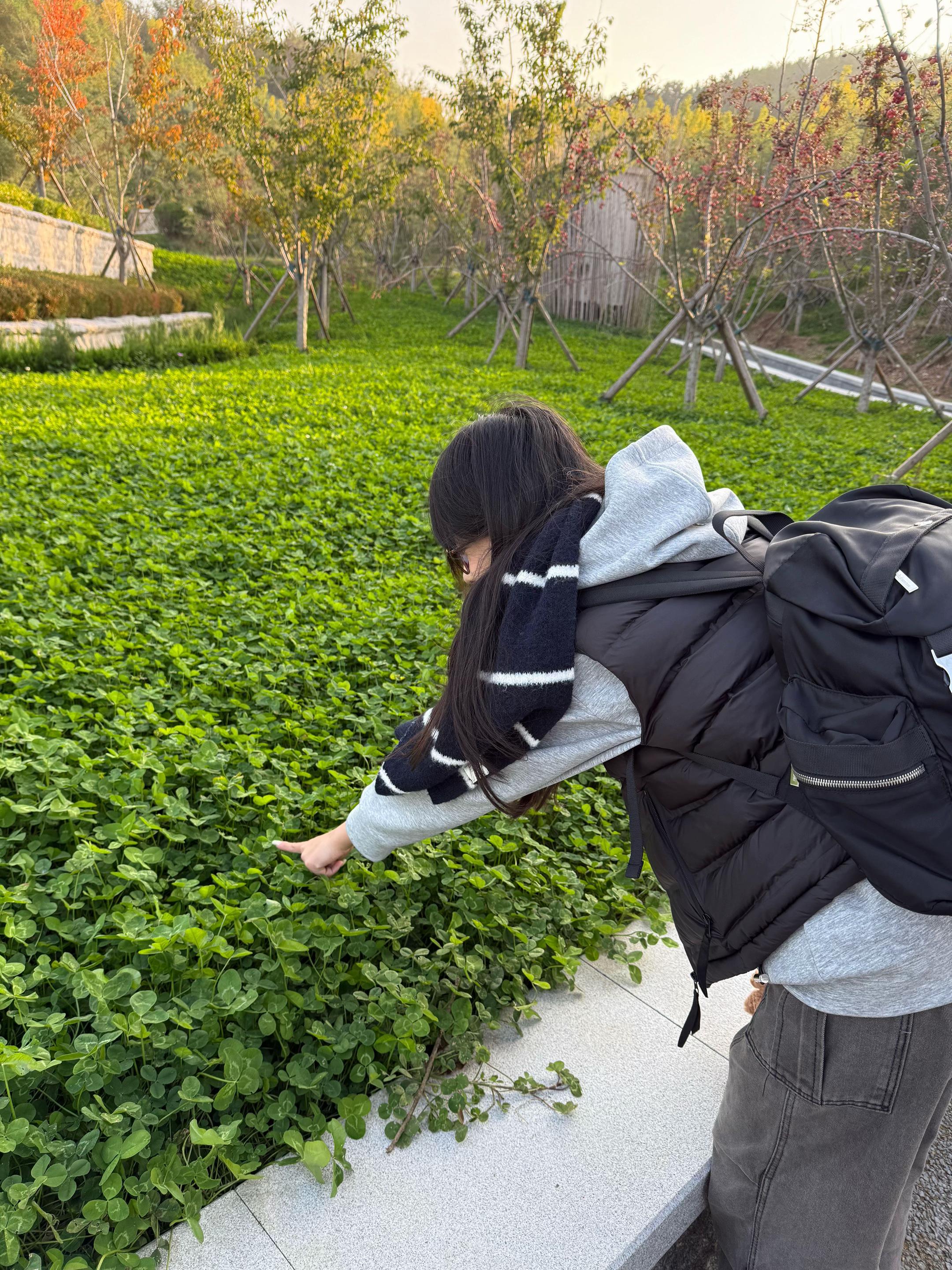 遇到四叶草的一天🍀