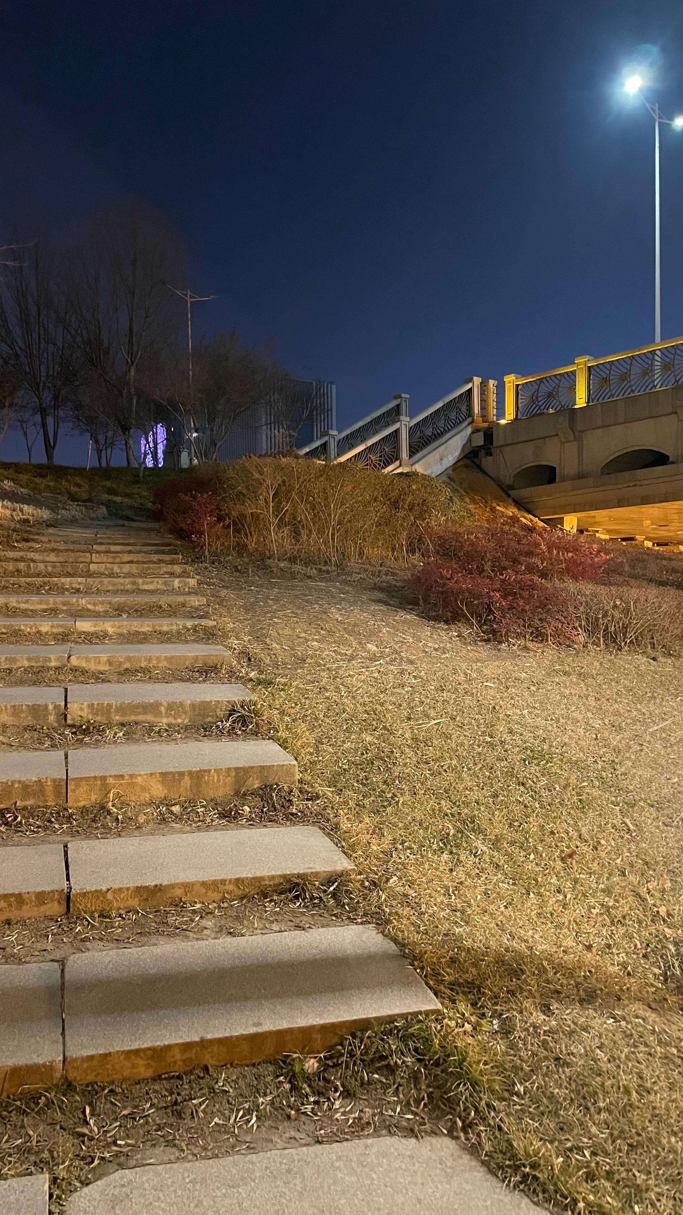 向着光依然相信美好 