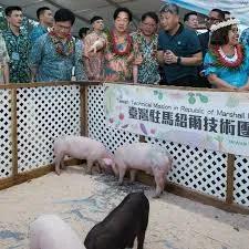 台湾赖清德访问太平洋岛国第一站是马绍尔群岛。这个国家就要大的多了，全国人口有68