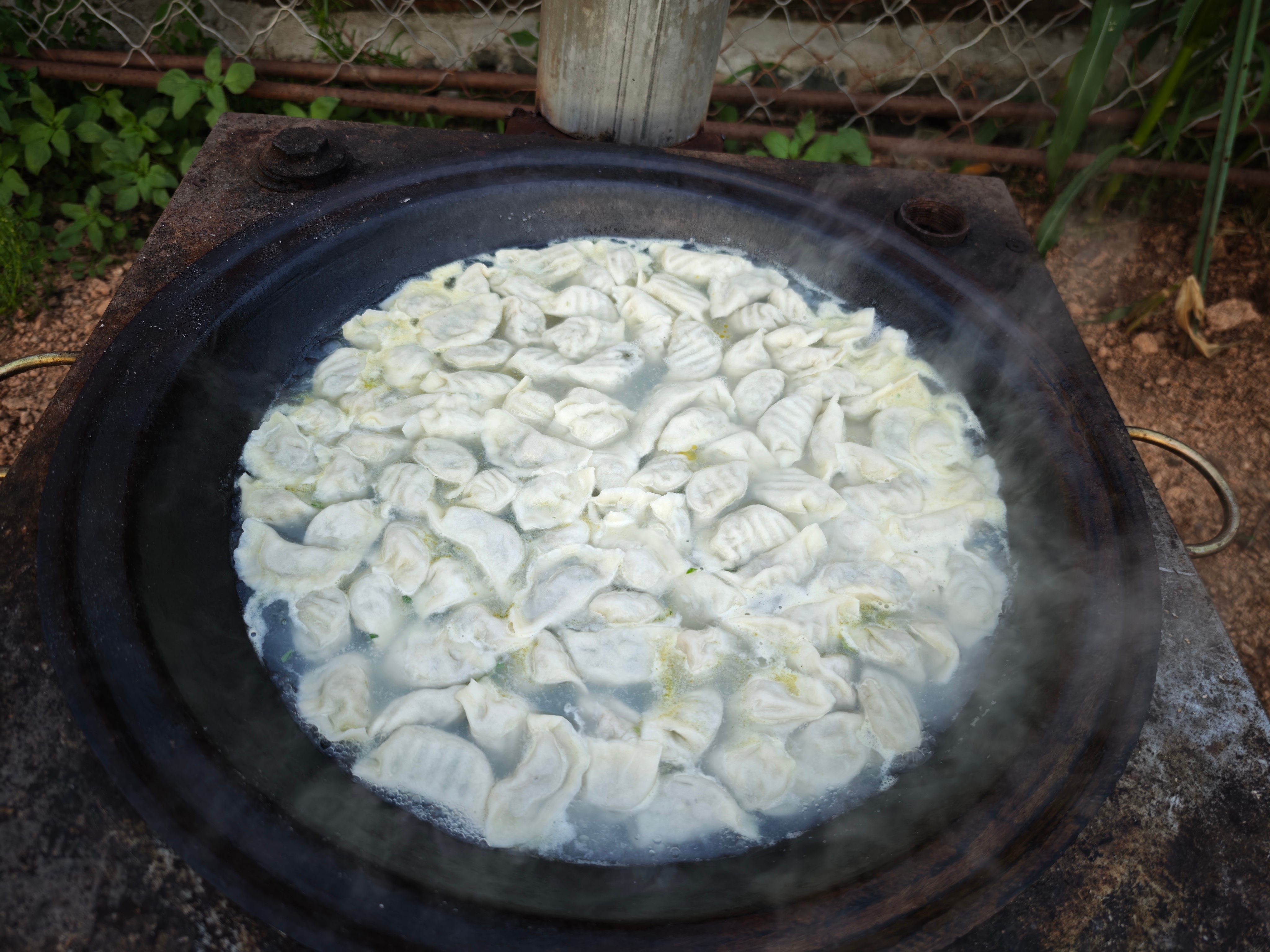 这次回呼伦贝尔，在奶奶家只有一天的时间晚上准备了大铁锅煮饺子，牛肉芹菜馅特别好吃