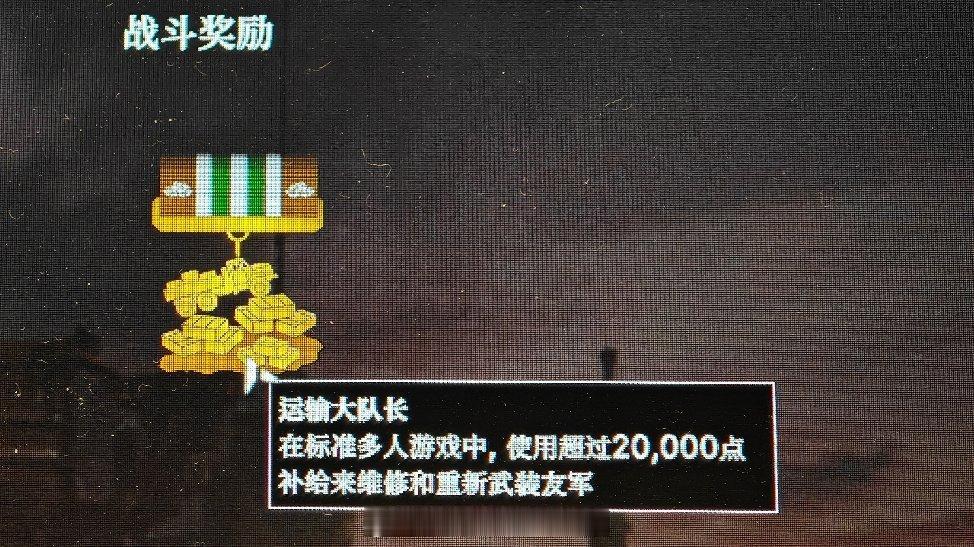 闹麻了，输了还给发一勋章