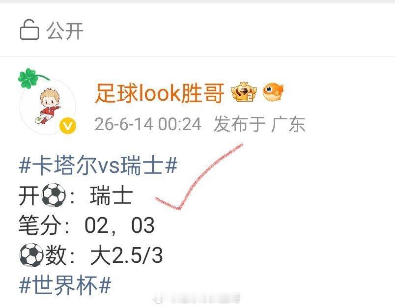 开球，仲开球世界杯卡塔尔vs瑞士