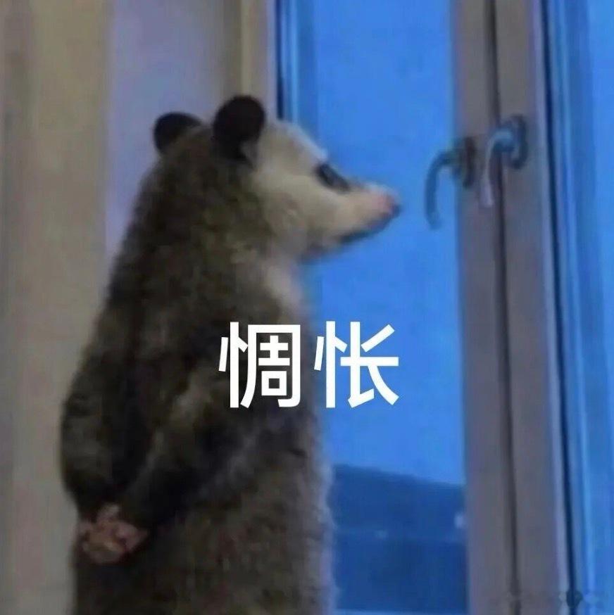 北京大雨这两天晚上雨是真的大啊！主要是这闪电就没停下来，一直在闪