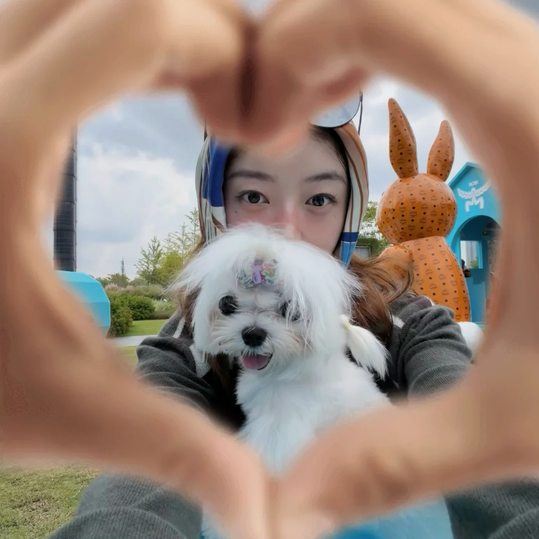 捡到的小白🫶🏿