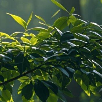 阳光信用阳光信用 生活总有阴晴变化，不必困于当下的不如意。放下内心内耗，专注经营