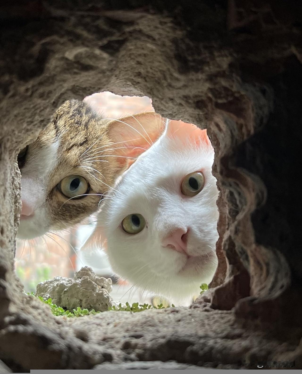 广场舞远不止是一种舞蹈或健身活动。它是中老年人在人生新阶段，主动构建社交、追求健