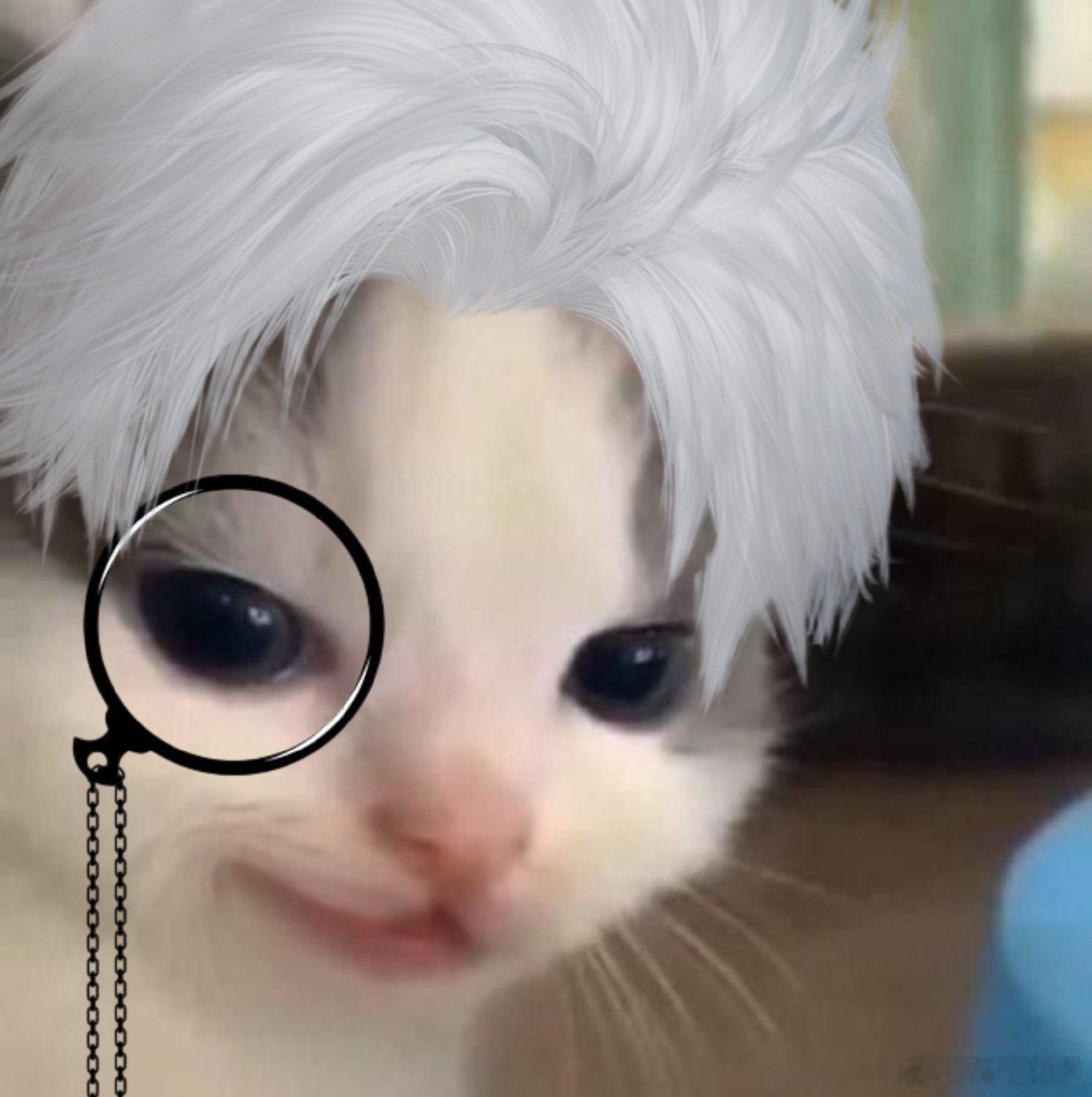 突然发现我好友，好多橹穆粉啊