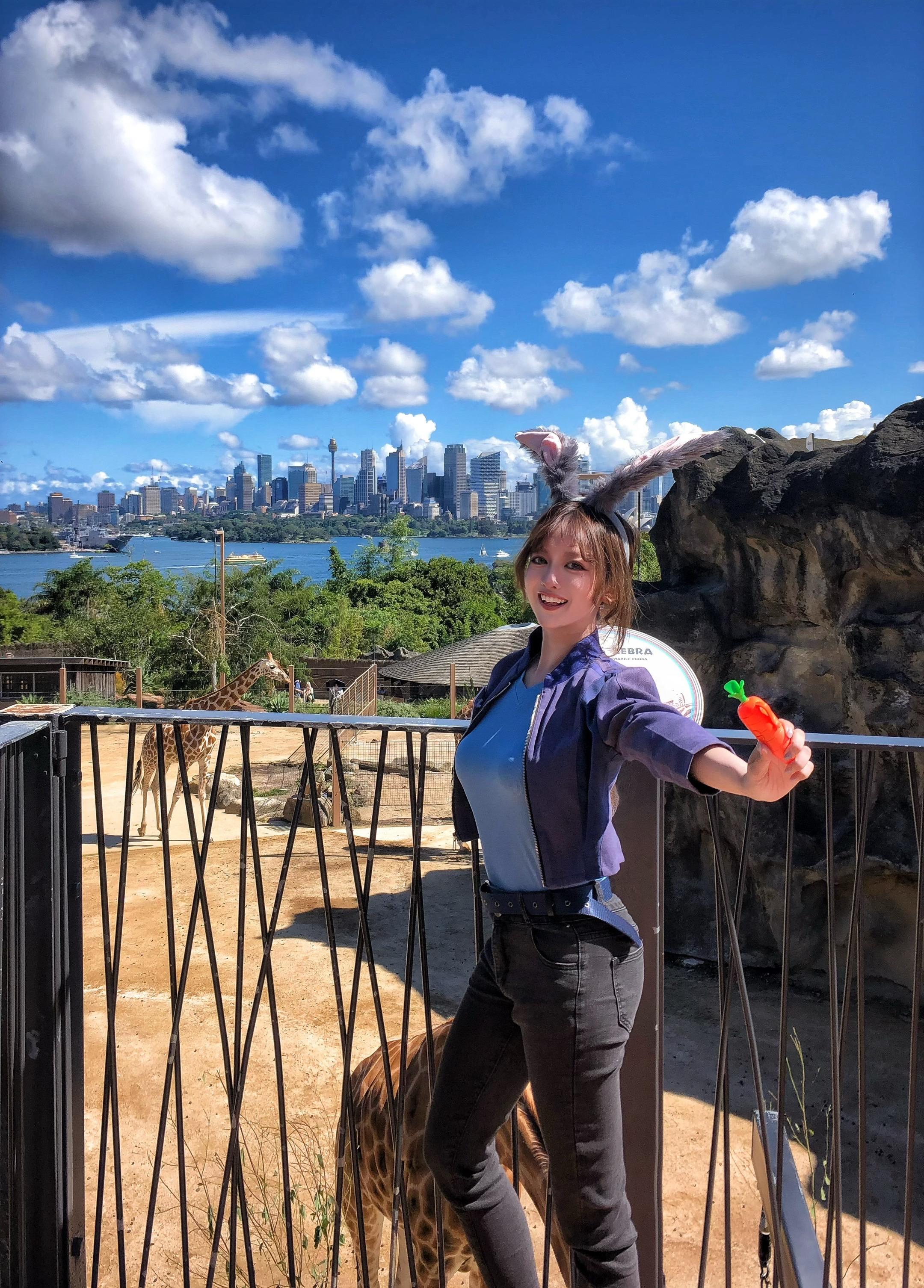 什么！兔子警官来南半球动物城啦🐰