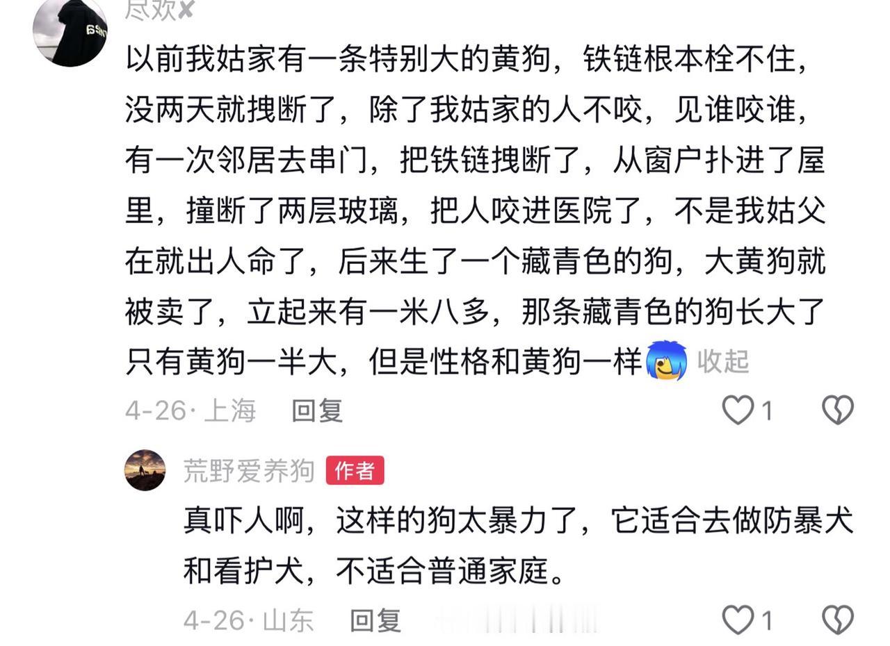 这样凶猛狂暴的狗更适合作为防暴犬使用，普通家庭不适合养这样的狗。有人说狗越凶猛越