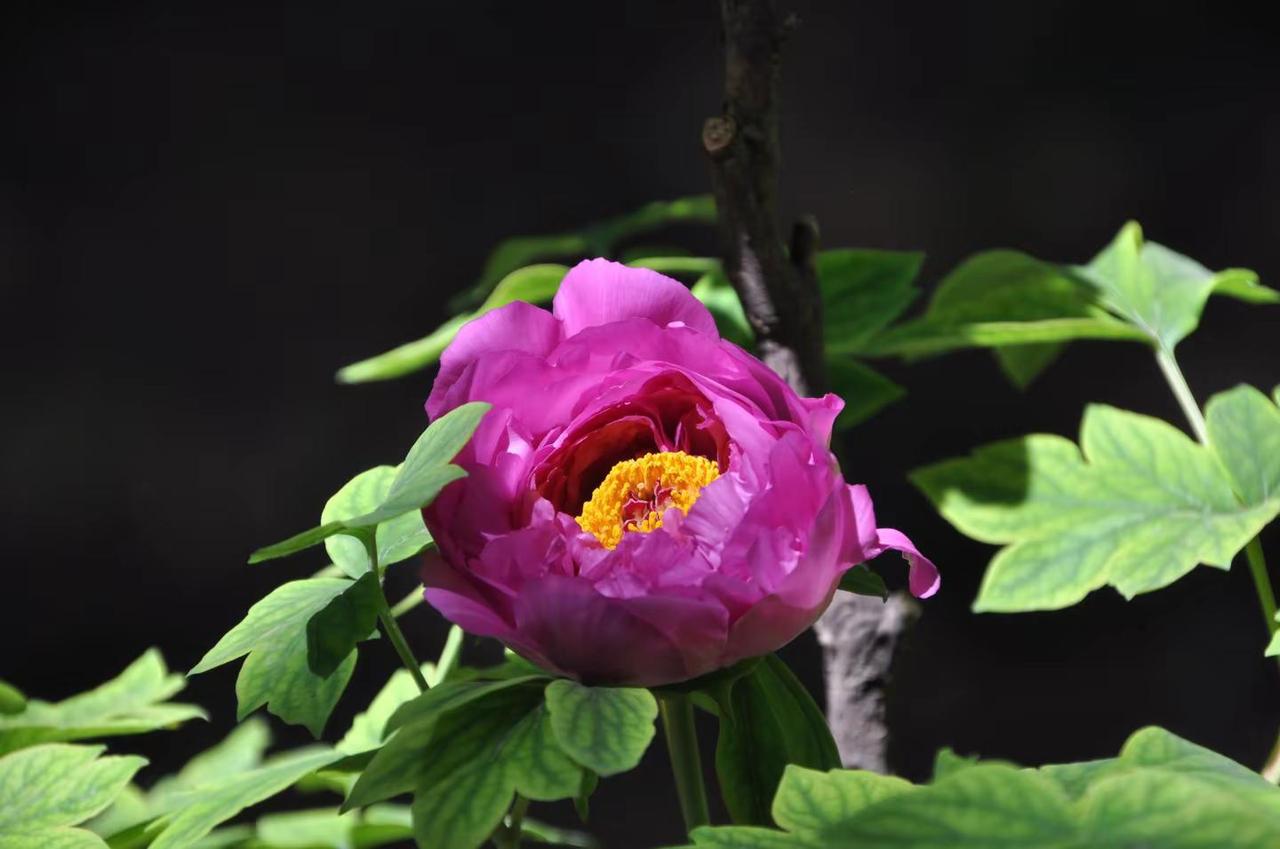 我评论了@陌路独白 的作品：