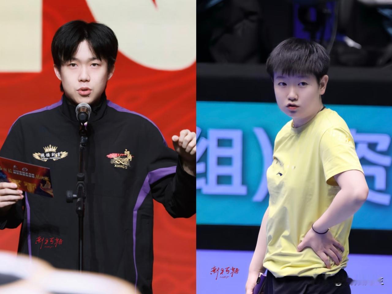 这数据看得我鸡皮疙瘩都起来了！

刚才瞅了一眼年度最佳名单，王楚钦和孙颖莎这俩年