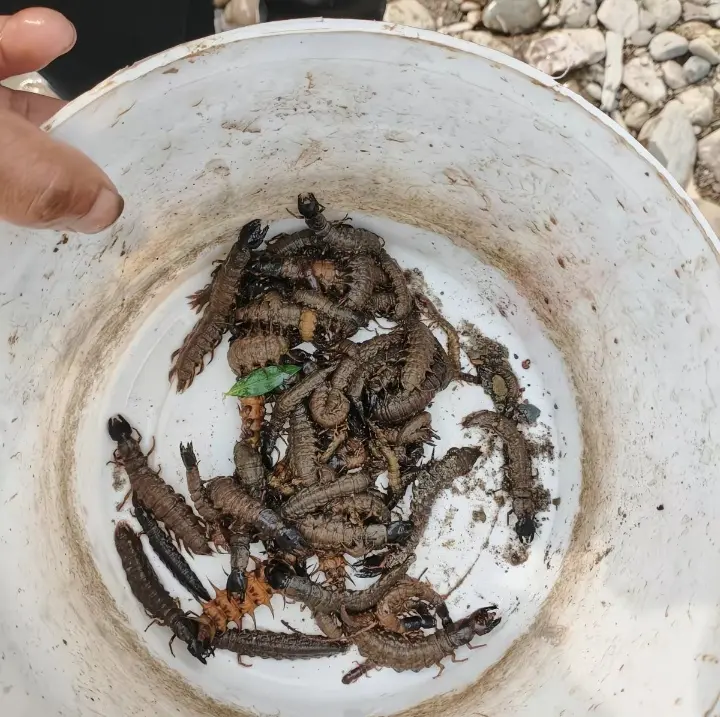 为什么我们怎么找的都找不过别人呢？别人怎么找的都是得货多多的,还是一样...