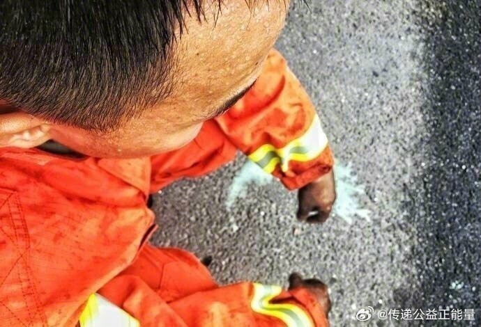 这双手剪过戒指，开过锁，扛过煤气罐，抱过小猫小狗；这双手在烈日下抱着水枪，在暴雨