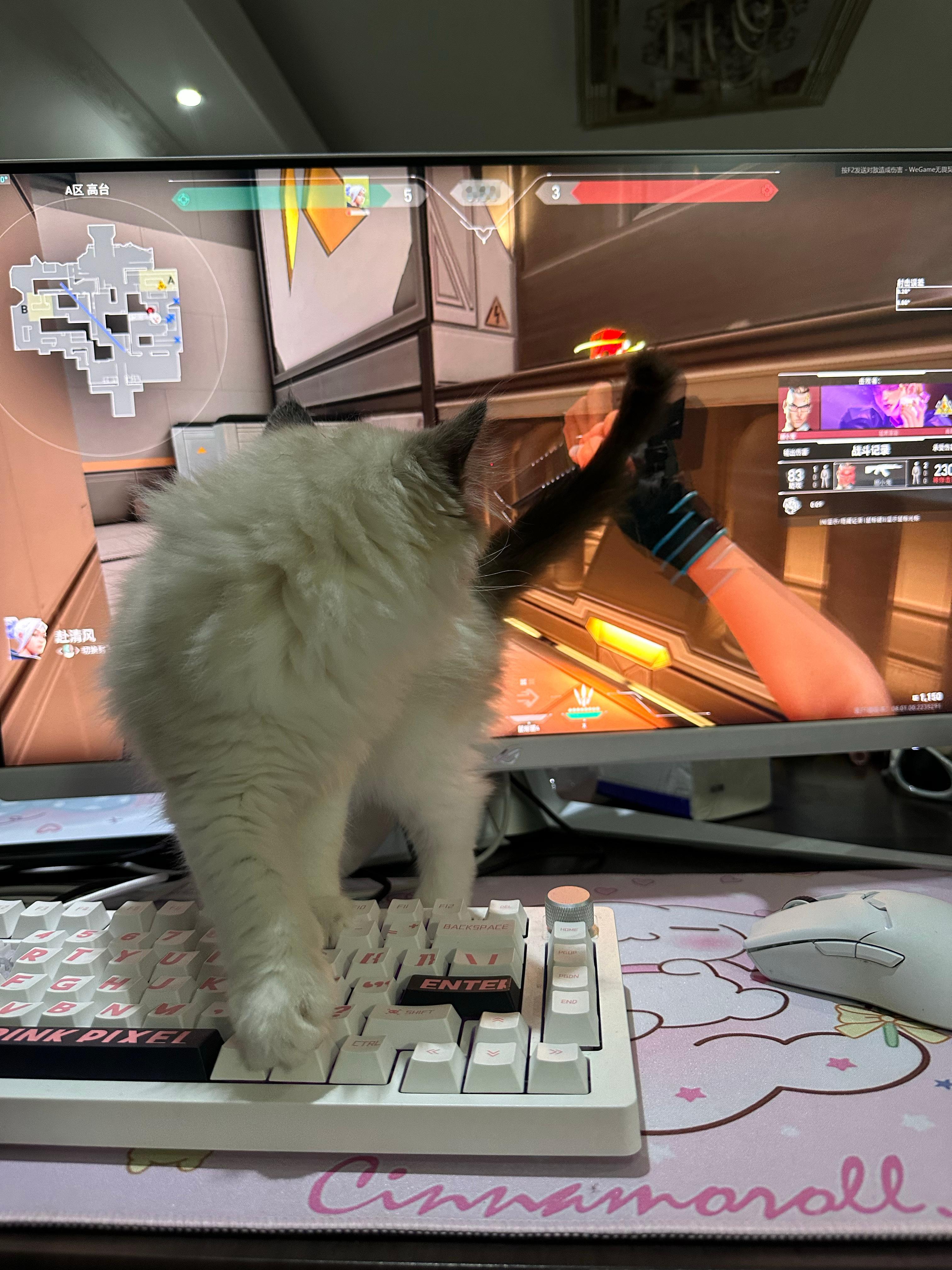 我的游戏环境，， ​​​