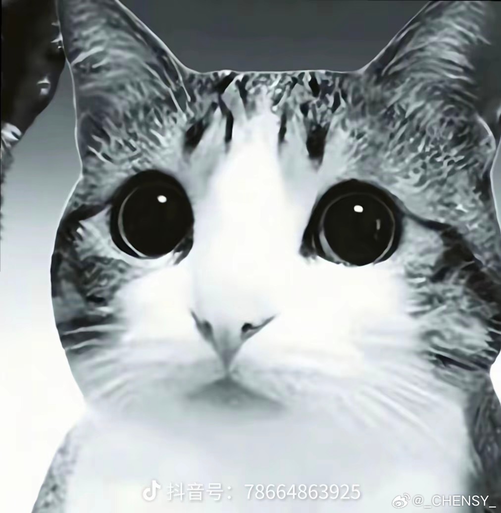 关于我周末开了两个小时的会，没有一件事跟我有关系的一下午 