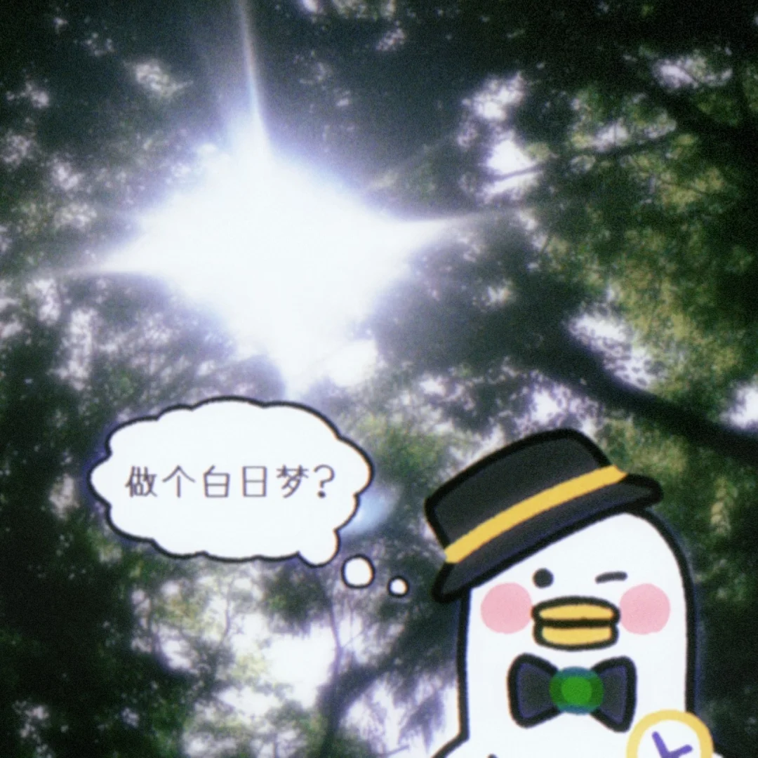 邀请你一起做梦💭