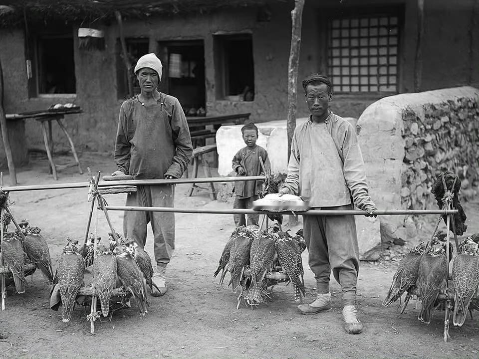 拍摄于1900年的一张老照片，他们都是京城的鹰贩子，看样子是从蒙古那边过来的，当