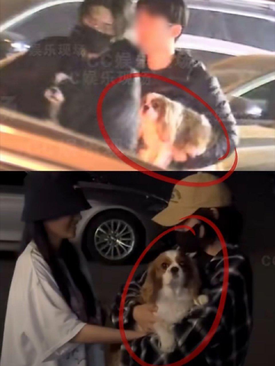 蒋易许馨文恋情曝光：般配之缘，幸福至上

近日，狗仔刘大锤曝光蒋易与许馨文疑似恋