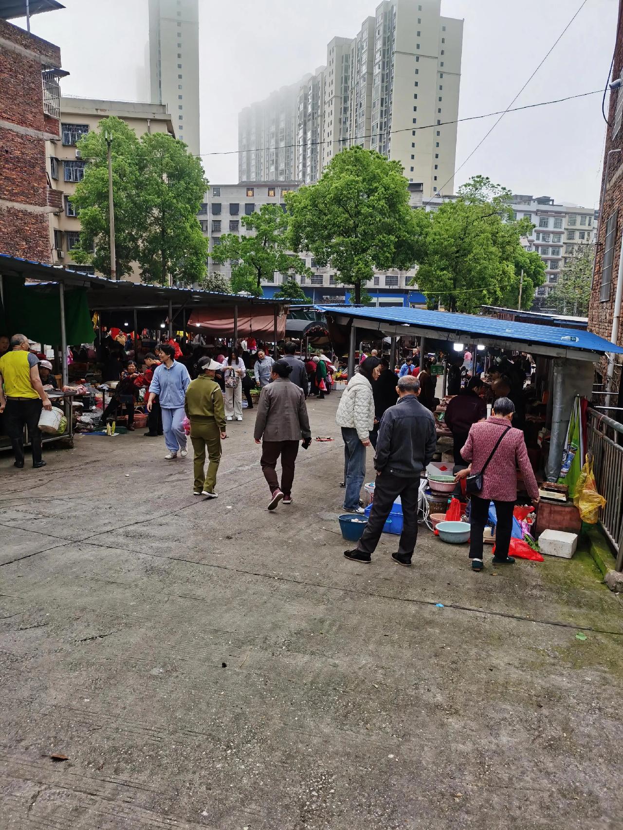 这个小菜市场，不是政府建的，是民间自发组织的，开始几个农民卖点自己家种的菜，就这