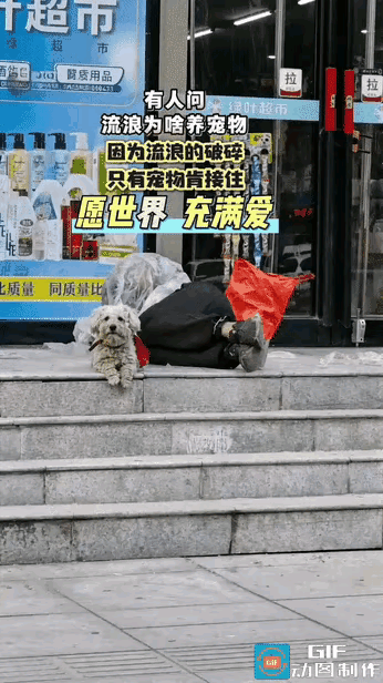 泪目了：一流浪汉躺在超市门口的台阶上睡觉，身边一只狗狗安静的趴在那里看着来来往往