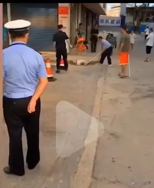 城管宣传车在街上到处宣传，养狗不拴绳一律捕杀。这一家狗证犬齐全，就因为上个公厕所
