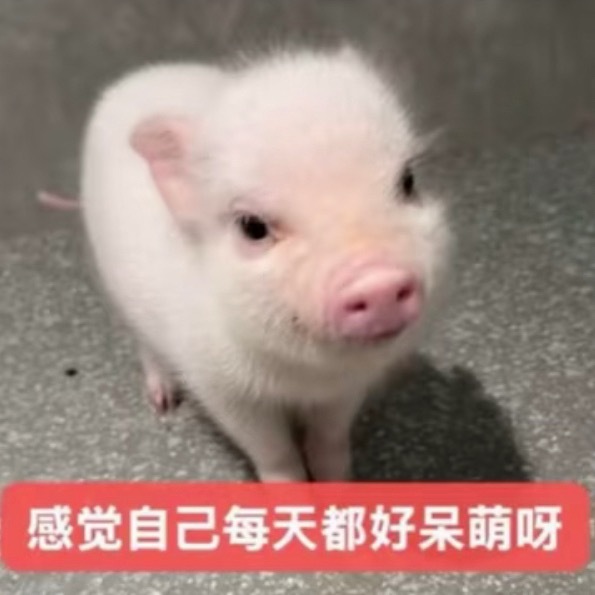 分享图片 