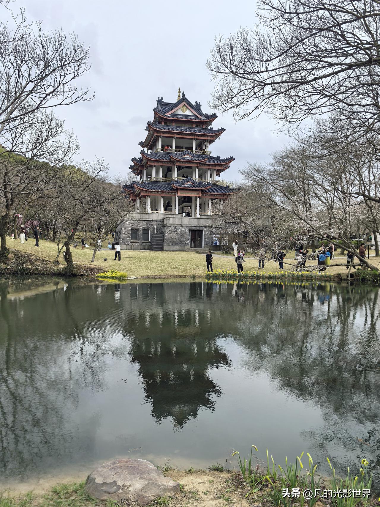 去鼋头渚看樱花一定要选对时间，我就是去早了，但鼋头渚风景还是超棒！它在无锡滨湖区