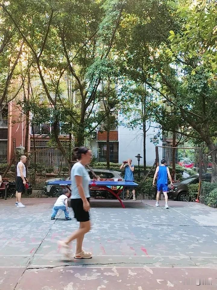 夏日傍晚小区实拍
 
大热天熬到傍晚，太阳慢慢往下落，总算褪去几分灼人的热气。