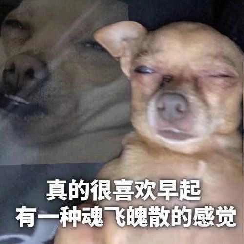 好用表情包合集 ​​​