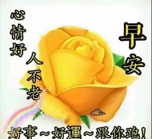仲秋叶黄天渐凉
带着欢乐送吉祥
平安健康开心笑
迈步晨练迎曙光
让我们感受生活的