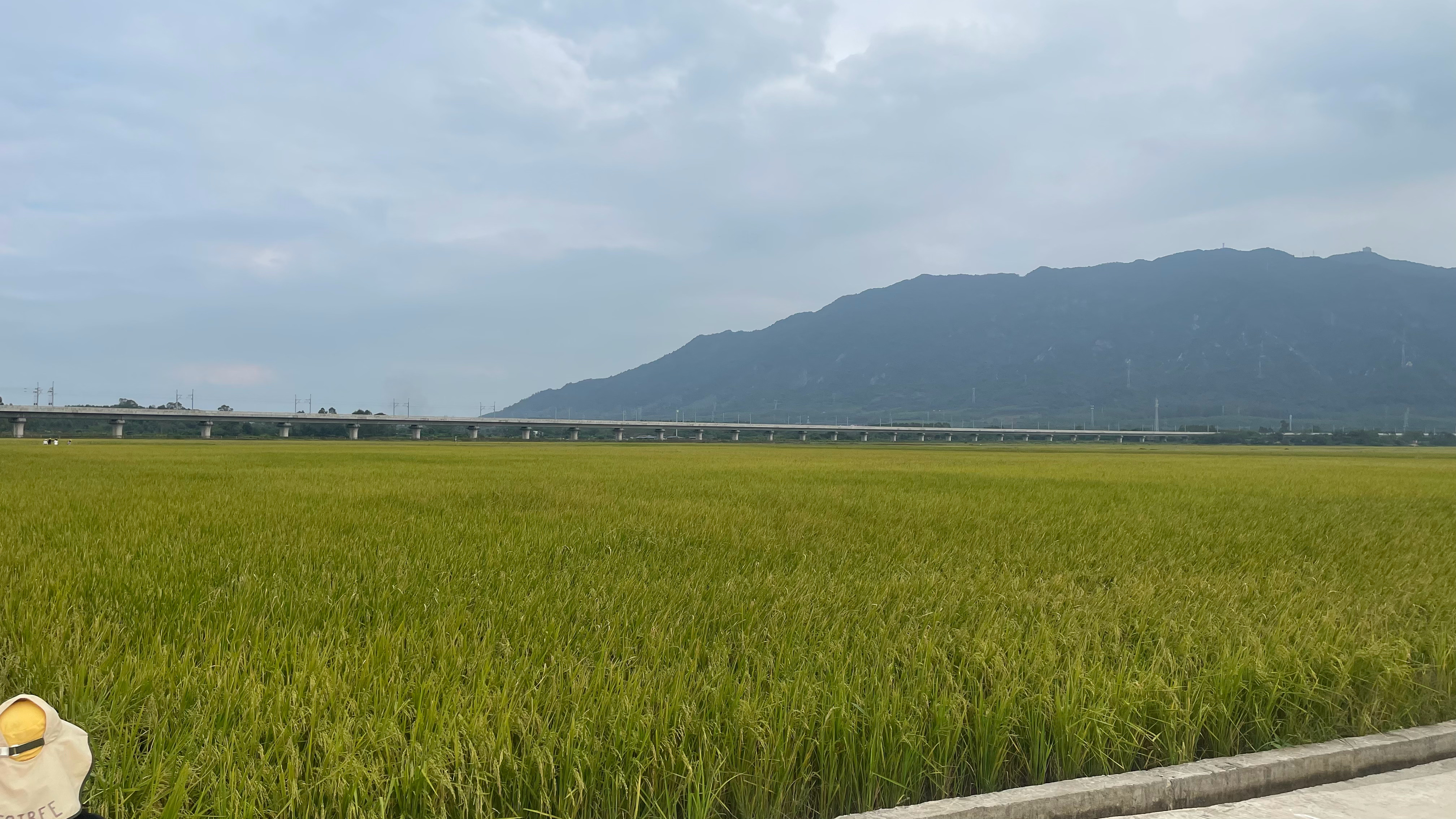 周末休闲时刻[微风]周末日常碎片plog轻松时刻随手拍美景 ​​​