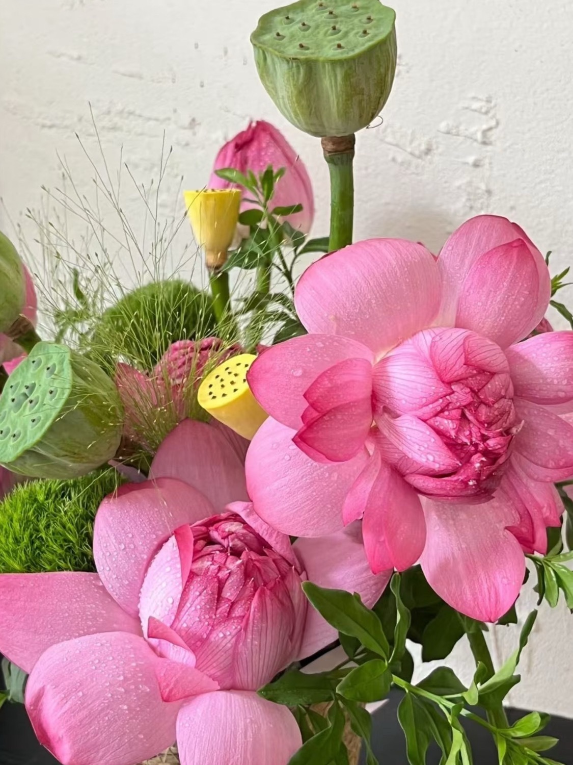 花开富贵来 ​​​