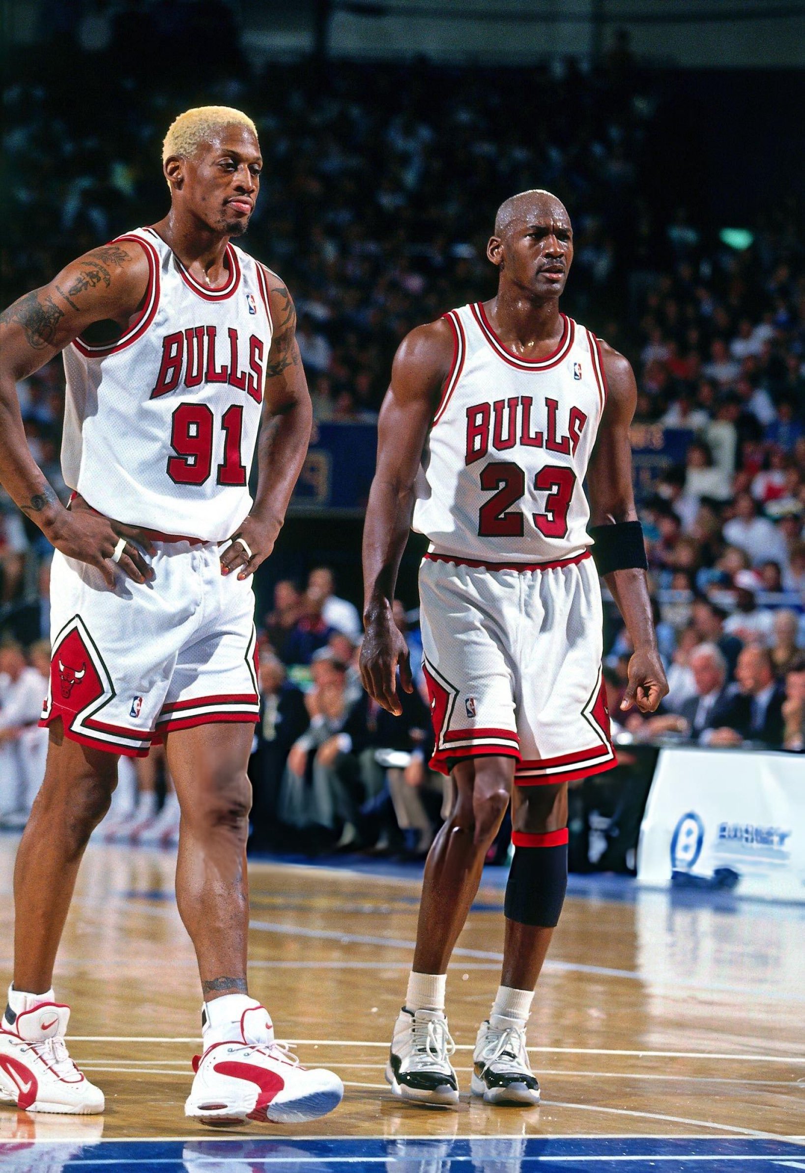 迈克尔·乔丹 & 丹尼斯·罗德曼（1996） 