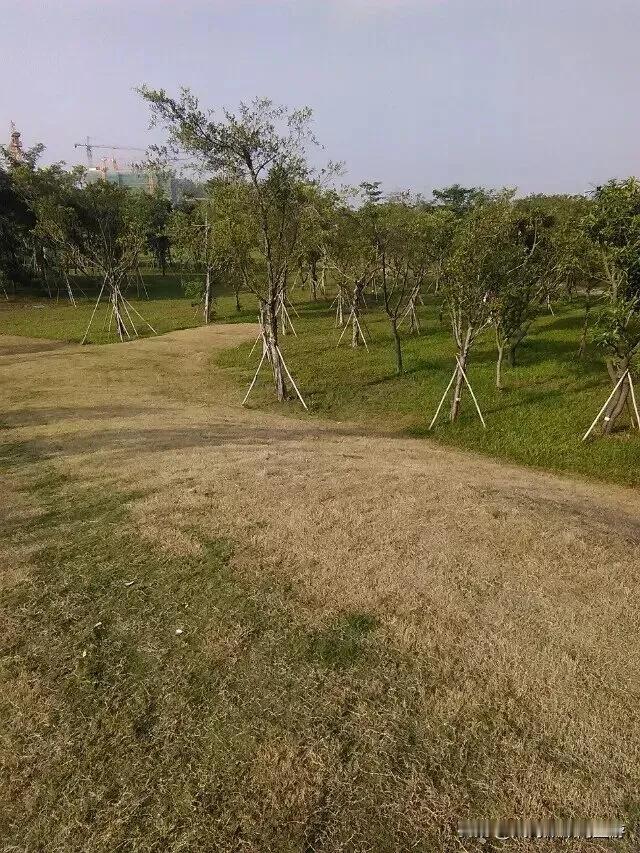 秋