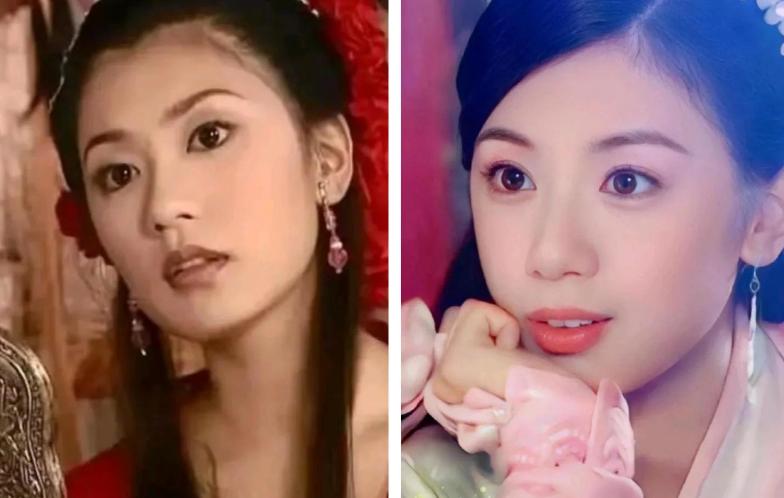 林心如成为金牌制片人后，很多小燕子的粉丝用贾静雯来嘲笑林心如，说贾静雯的颜值比林