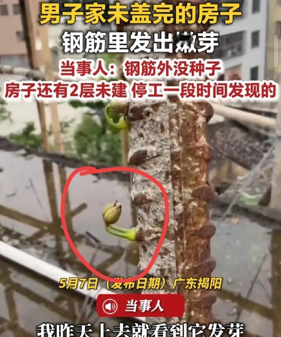 [太阳]太痛心了！5月7日媒体报道，广东佛山一女子去上厕所，让丈夫照看仅两个月大