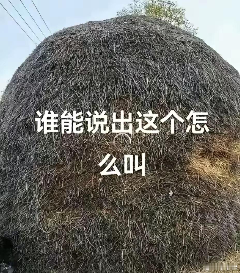 这东西好像只有陕西关中一带有，不过现在也没人弄了 