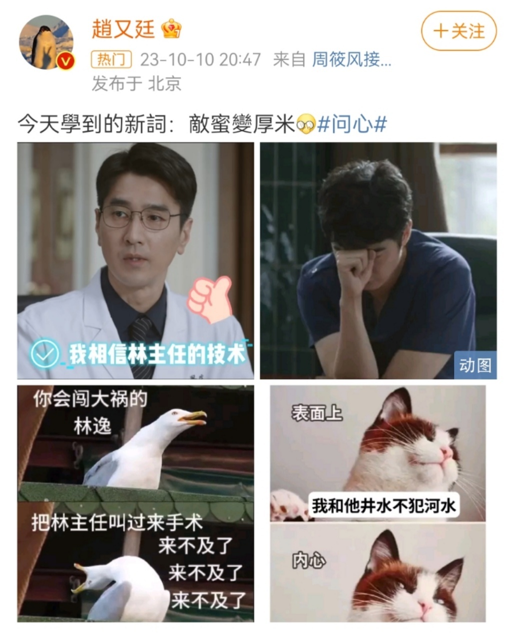 #问心赵又廷金世佳一种很新的兄弟情#这种兄弟情在哪还能领？同样是上班工作，为什么